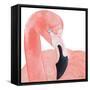 Pink Party of Four II-Gina Ritter-Framed Stretched Canvas