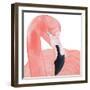 Pink Party of Four II-Gina Ritter-Framed Art Print