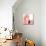 Pink Party of Four II-Gina Ritter-Mounted Art Print displayed on a wall