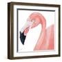 Pink Party of Four IV-Gina Ritter-Framed Art Print