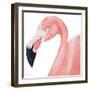 Pink Party of Four IV-Gina Ritter-Framed Art Print