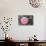 Pink Passion Camillia-Anna Coppel-Photographic Print displayed on a wall