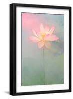 Pink Passion-Bahman Farzad-Framed Photographic Print