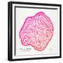 Pink Peach Leaf-Cat Coquillette-Framed Giclee Print