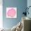 Pink Peach Leaf-Cat Coquillette-Giclee Print displayed on a wall