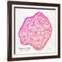 Pink Peach Leaf-Cat Coquillette-Framed Giclee Print