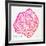 Pink Peach Leaf-Cat Coquillette-Framed Giclee Print