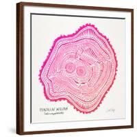 Pink Peach Leaf-Cat Coquillette-Framed Giclee Print