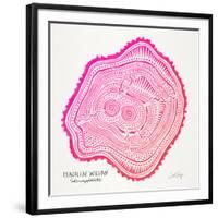 Pink Peach Leaf-Cat Coquillette-Framed Giclee Print