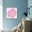 Pink Peach Leaf-Cat Coquillette-Mounted Giclee Print displayed on a wall