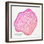 Pink Peach Leaf-Cat Coquillette-Framed Giclee Print