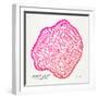 Pink Peach Leaf-Cat Coquillette-Framed Giclee Print