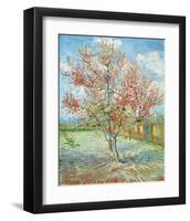 Pink Peach Tree,-Pierre-Auguste Renoir-Framed Art Print