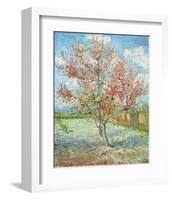 Pink Peach Tree,-Pierre-Auguste Renoir-Framed Art Print