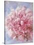 Pink Peonie I-li bo-Stretched Canvas