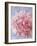 Pink Peonie I-li bo-Framed Giclee Print