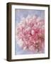 Pink Peonie I-li bo-Framed Giclee Print