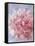 Pink Peonie I-li bo-Framed Stretched Canvas