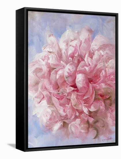 Pink Peonie I-li bo-Framed Stretched Canvas