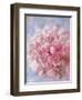 Pink Peonie I-li bo-Framed Premium Giclee Print