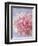 Pink Peonie I-li bo-Framed Premium Giclee Print