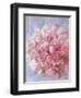 Pink Peonie I-li bo-Framed Premium Giclee Print