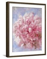 Pink Peonie I-li bo-Framed Giclee Print