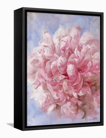 Pink Peonie I-li bo-Framed Stretched Canvas