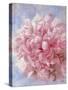 Pink Peonie I-li bo-Stretched Canvas