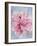 Pink Peonie II-li bo-Framed Giclee Print