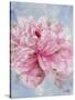 Pink Peonie II-li bo-Stretched Canvas