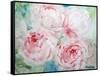 Pink Peonies I-Paula Giltner-Framed Stretched Canvas