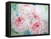 Pink Peonies I-Paula Giltner-Framed Stretched Canvas