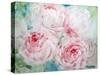 Pink Peonies I-Paula Giltner-Stretched Canvas
