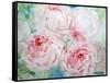 Pink Peonies I-Paula Giltner-Framed Stretched Canvas