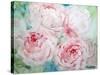 Pink Peonies I-Paula Giltner-Stretched Canvas