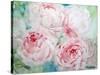 Pink Peonies I-Paula Giltner-Stretched Canvas