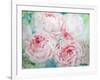 Pink Peonies I-Paula Giltner-Framed Art Print