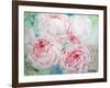 Pink Peonies I-Paula Giltner-Framed Art Print