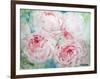 Pink Peonies I-Paula Giltner-Framed Art Print