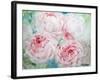 Pink Peonies I-Paula Giltner-Framed Art Print