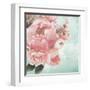 Pink Peonies I-Patricia Pinto-Framed Art Print