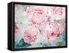 Pink Peonies II-Paula Giltner-Framed Stretched Canvas