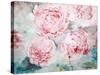 Pink Peonies II-Paula Giltner-Stretched Canvas