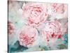 Pink Peonies II-Paula Giltner-Stretched Canvas