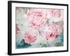 Pink Peonies II-Paula Giltner-Framed Art Print