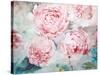 Pink Peonies II-Paula Giltner-Stretched Canvas