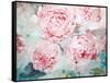 Pink Peonies II-Paula Giltner-Framed Stretched Canvas