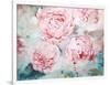 Pink Peonies II-Paula Giltner-Framed Art Print