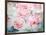 Pink Peonies II-Paula Giltner-Framed Art Print